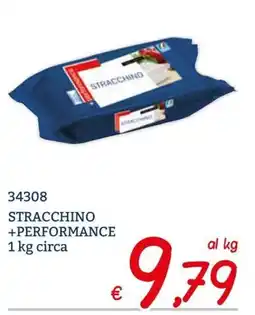 Zona STRACCHINO +PERFORMANCE offerta