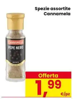 Eurospar Spezie assortite Cannamela offerta