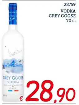Zona VODKA GREY GOOSE offerta