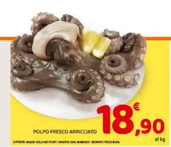 Polpo Fresco Arricciato