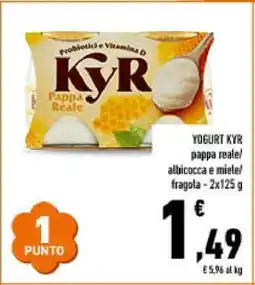 Conad YOGURT KYR offerta