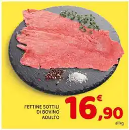 Conad Fettine Sottili Di Bovino Adulto offerta
