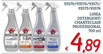 Zona LINEA DETERGENTI CHANTECLAIR PROFESSIONAL offerta