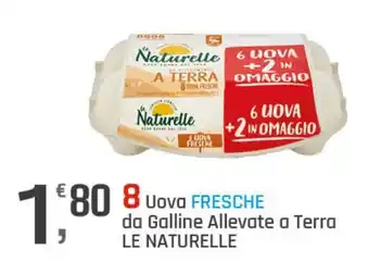 Uova FRESCHE da Galline Allevate a Terra LE NATURELLE