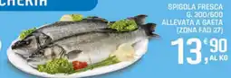 Supermercati Dok Spigola Fresca offerta