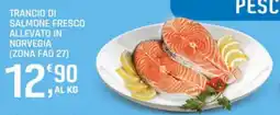 Supermercati Dok Trancio di salmone fresco offerta