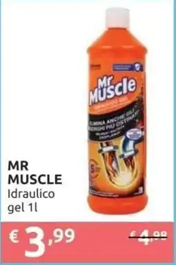 PiùMe MR MUSCLE Idraulico gel offerta