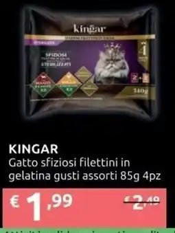 PiùMe KINGAR Gatto sfiziosi filettini in gelatina gusti assortiti offerta