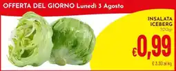 Pan Insalata Iceberg offerta