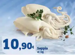 Sigma Superstore Seppia offerta