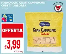 Pan Formaggio Gran Campidano Cubetti Arborea offerta