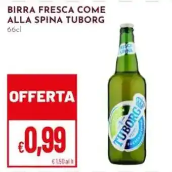 Pan Birra fresca come alla spina Tuborg offerta