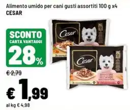 Iper La Grande Alimento umido per cani gusti assortiti CESAR offerta
