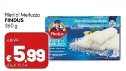 Supermercati Vinci Filetti di Merluzzo Findus offerta