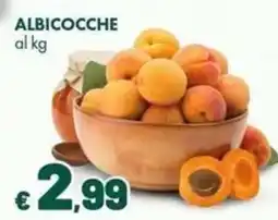 Supermercati Vinci ALBICOCCHE offerta