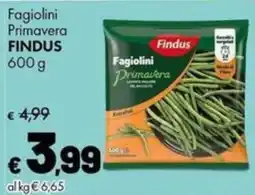 Supermercati Vinci Fagiolini Primavera Findus offerta