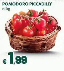 Supermercati Vinci POMODORO PICCADILLY offerta