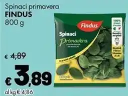 Supermercati Vinci Spinaci primavera Findus offerta