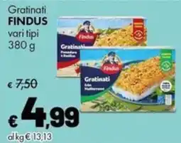 Supermercati Vinci Gratinati FINDUS offerta