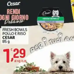 Crai Fresh Bowls Pollo e Riso Cesar offerta