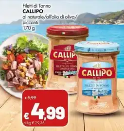 Supermercati Vinci Filetti di Tonno CALLIPO offerta