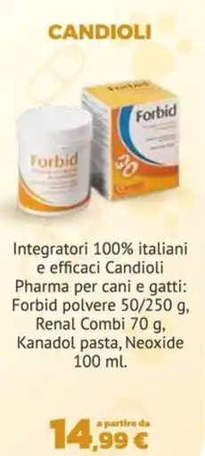 Joe Zampetti Forbid candioli offerta