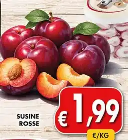 Coal City Susine Rosse offerta