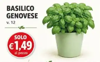 Basilico Genovese