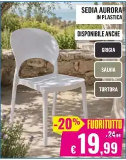 Satur Sedia Aurora offerta