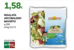 Basko INSALATA ARCOBALENO MIOORTO offerta