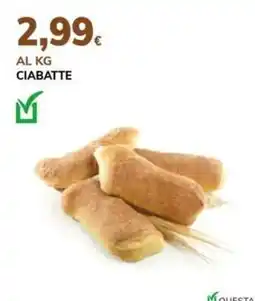 Basko CIABATTE offerta