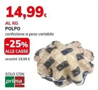 Basko POLPO offerta