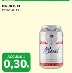 Basko Birra Bud offerta