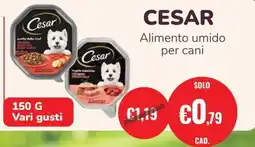 ZooPlanet CESAR Alimento umido per cani offerta