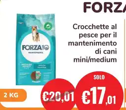ZooPlanet Forza10 crocchette al pesce per il mantenimento di cani mini/medium offerta