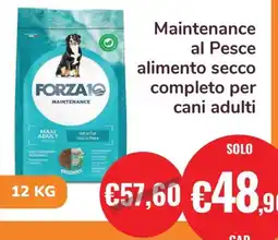 ZooPlanet FORZA10 Maintenance al Pesce alimento secco completo per cani adulti offerta