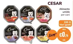 ZooPlanet CESAR Alimento umido per cani offerta