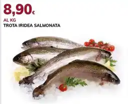 Basko TROTA IRIDEA SALMONATA offerta