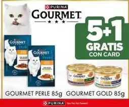 L´Isola dei Tesori Gourmet perle, gourmet gold offerta