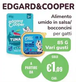 ZooPlanet Alimento umido in salsa/bocconcini per gatti offerta
