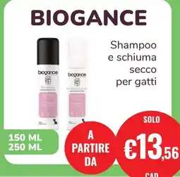 ZooPlanet Biogance Shampoo e schiuma secco per gatti offerta