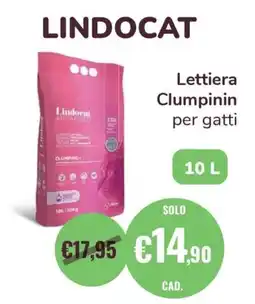 ZooPlanet Lindocat Lettiera Clumpinin per gatti offerta