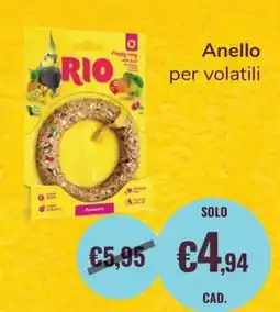 ZooPlanet Anello per volatili offerta