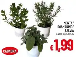 IperFamila MENTA/ROSMARINO/SALVIA offerta