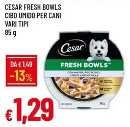 IperFamila Cesar Fresh Bowls offerta