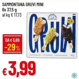 Galassia Sammontana Gruvi Mini offerta