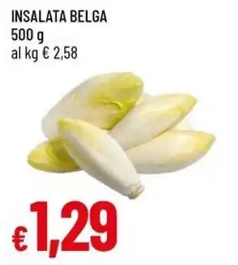 Galassia INSALATA BELGA offerta