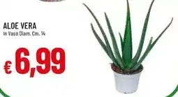 Galassia ALOE VERA offerta