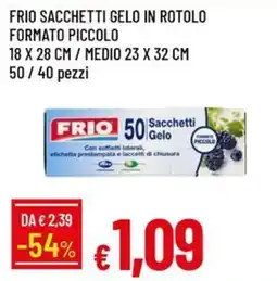 Galassia Frio Sacchetti Gelo offerta