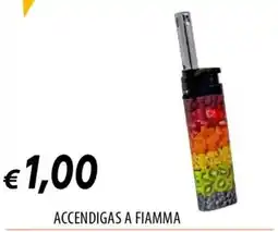 IperFamila ACCENDIGAS A FIAMMA offerta